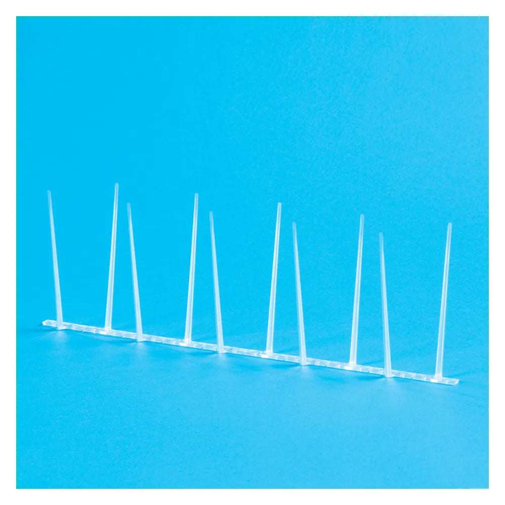 Defender Polycarbonate 4-Point Bird Spikes - 1 Meter for Effective Bird Deterrence