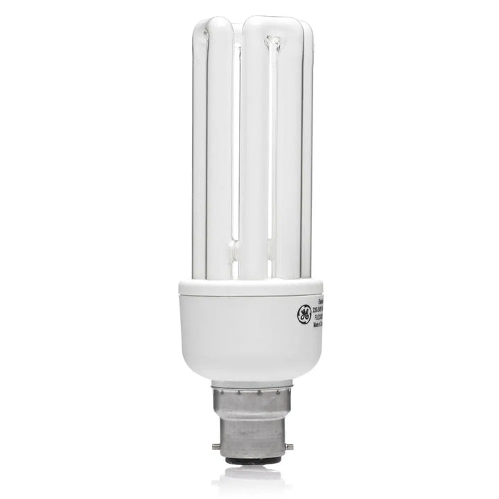 Energy Efficient Bulbs: Brighten Your Home, Save the Planet